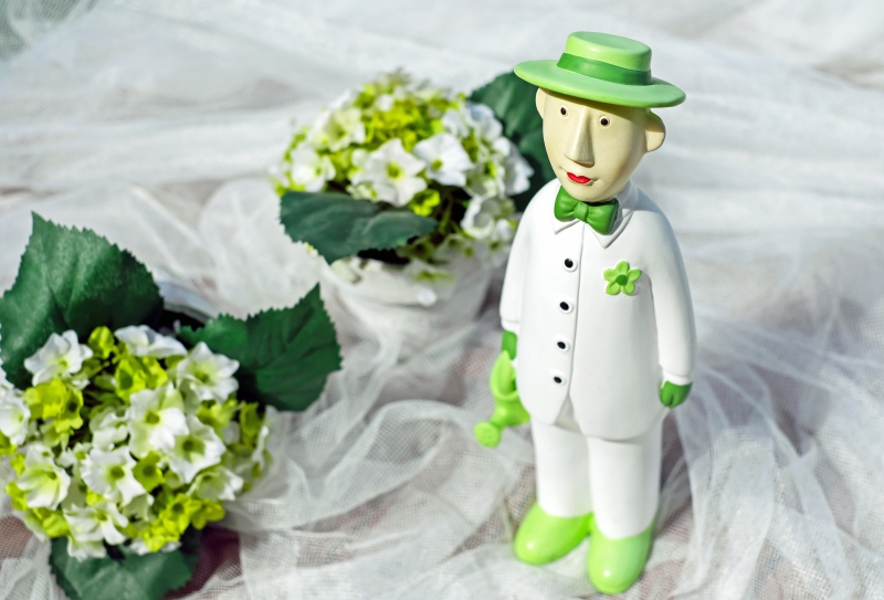 vitrine-AURIBEAU SUR SIAGNE-min_man-person-flower-green-toy-fig-546529-pxhere.com